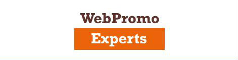 WebPromoExperts SEO Day